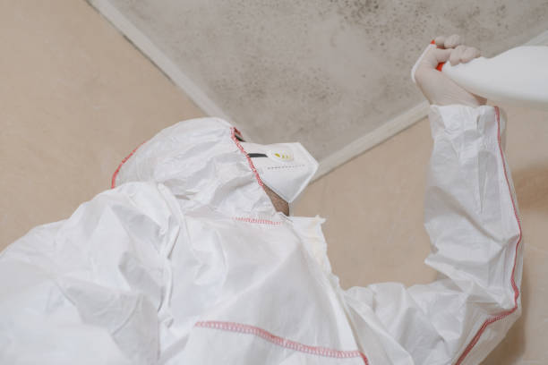 Best Affordable Mold Removal  in Mount Gilead, OH